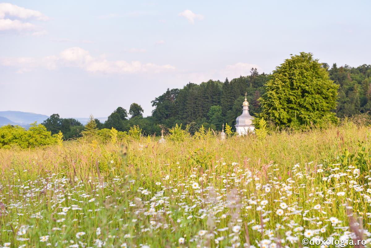 Sunt ca un vis toate cele lumeşti