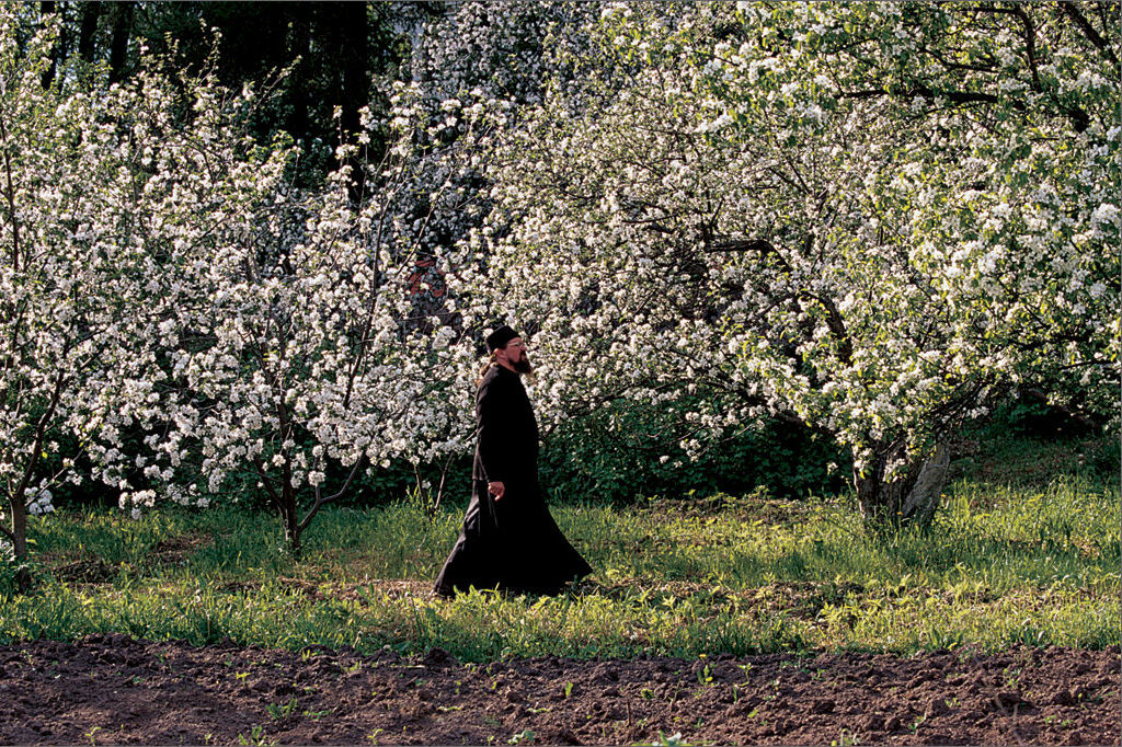 Livezile Mănăstirii Valaam