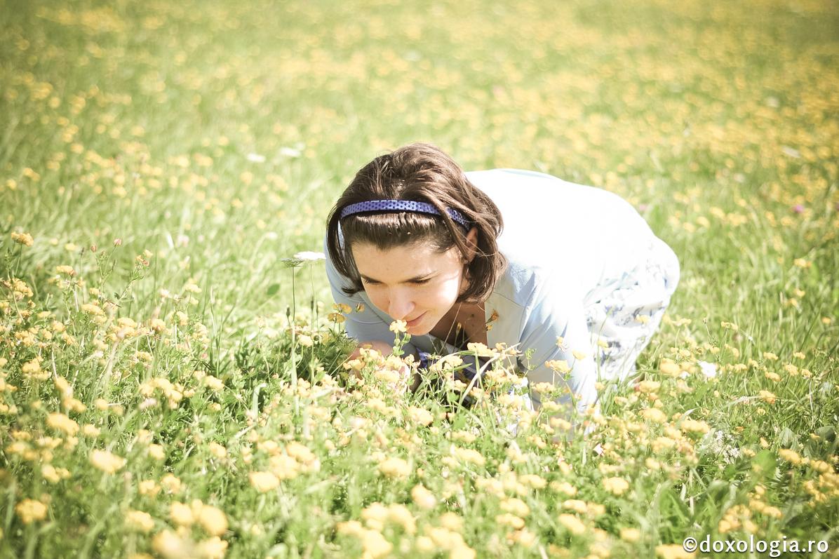 Zilele omului ca floarea câmpului sunt