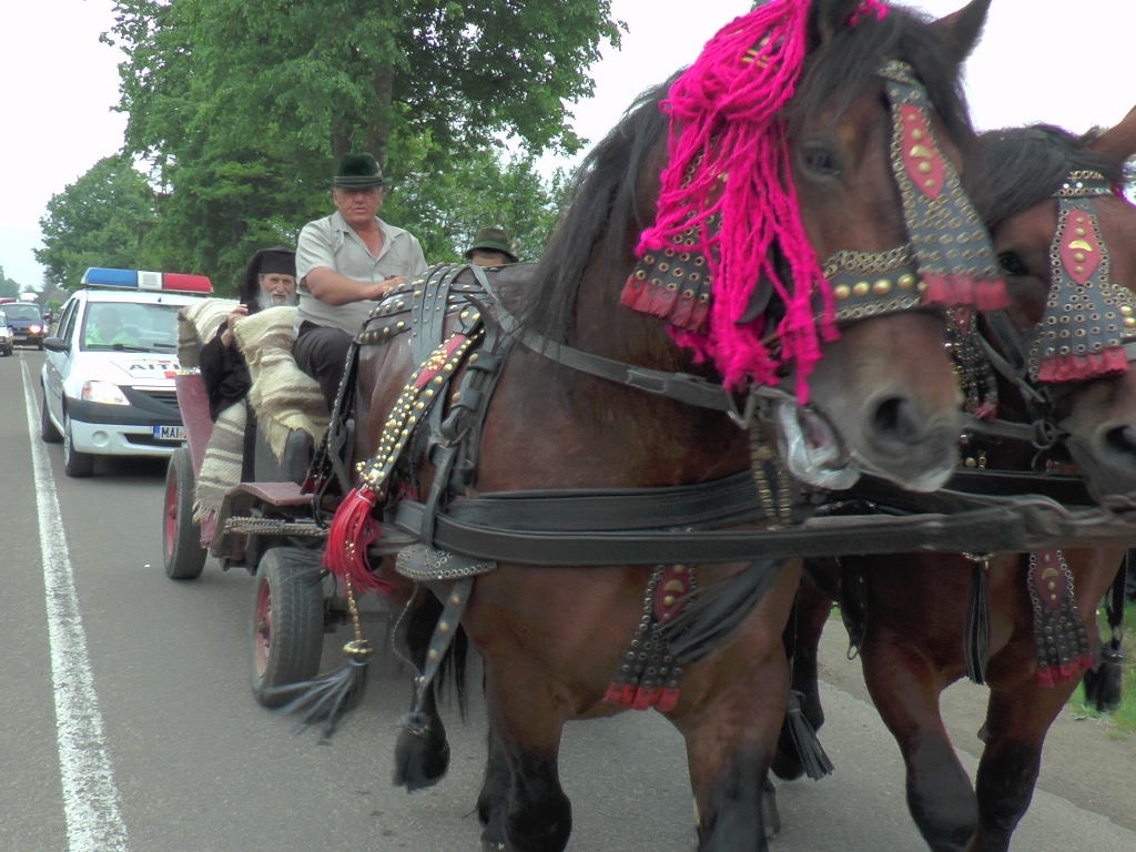 Unitate în credința cea dreaptă – calea spre mântuire