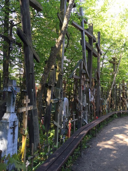 Pelerinaj al comuniunii, în Polonia