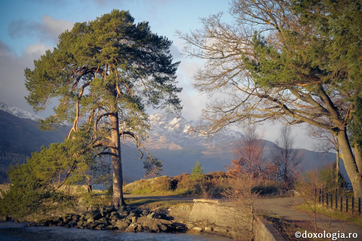 Mândria trăiește într-o nălucire prelungită