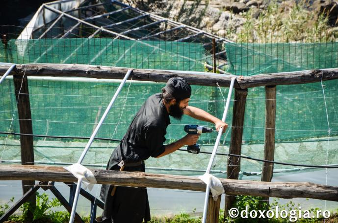 Prin ascultare, inima şi mintea voastră se vor deschide spre veşnicie