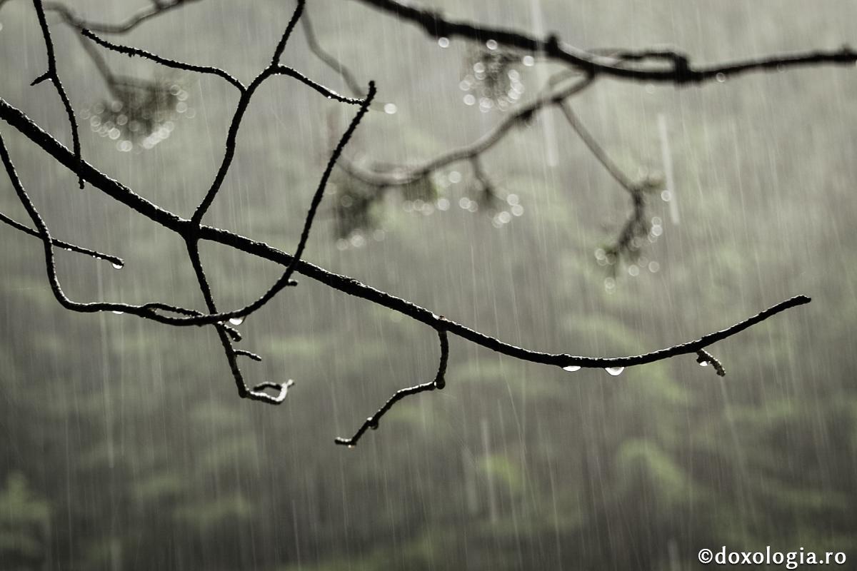 Deznădejdea este marea bucurie a diavolului