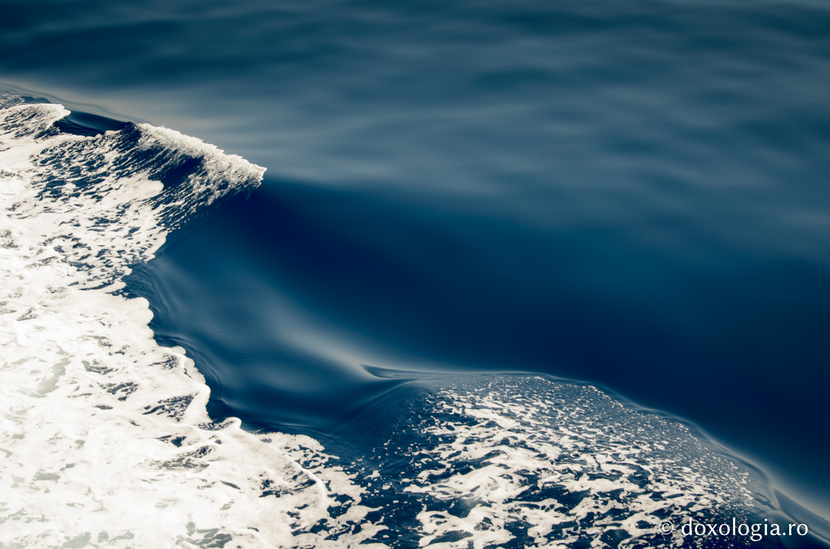 Mânia și blândețea