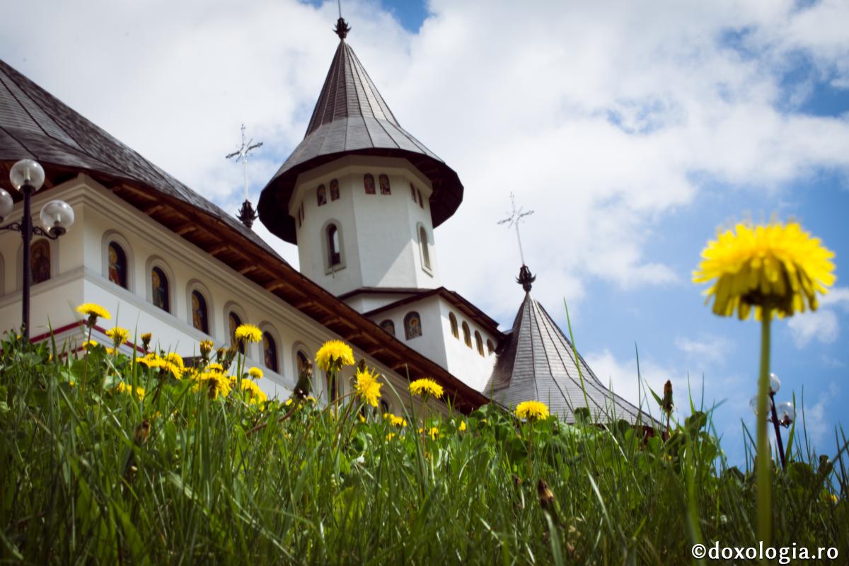 Să-I dăruim dragostea noastră lui Hristos