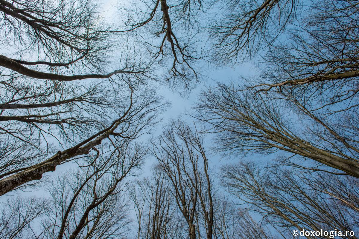 Să fii extrem de atent cu imaginaţia ta!