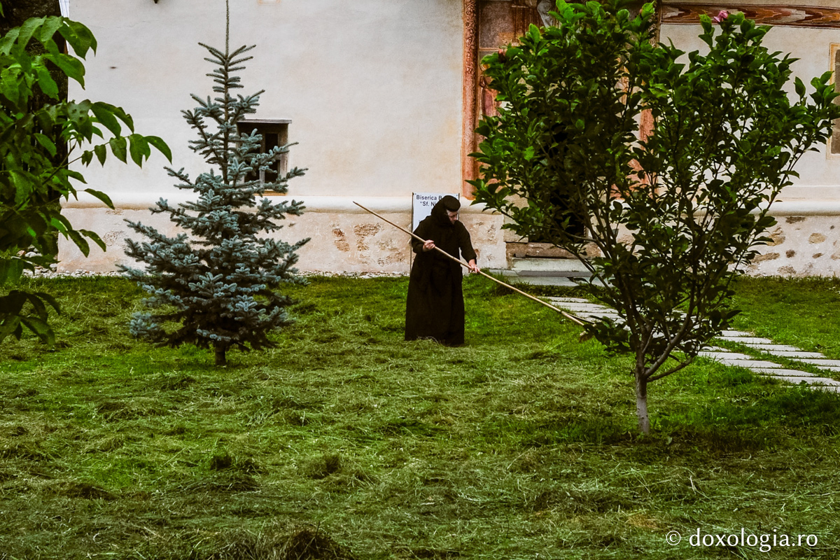 Osteneala pentru Împărăția Cerurilor