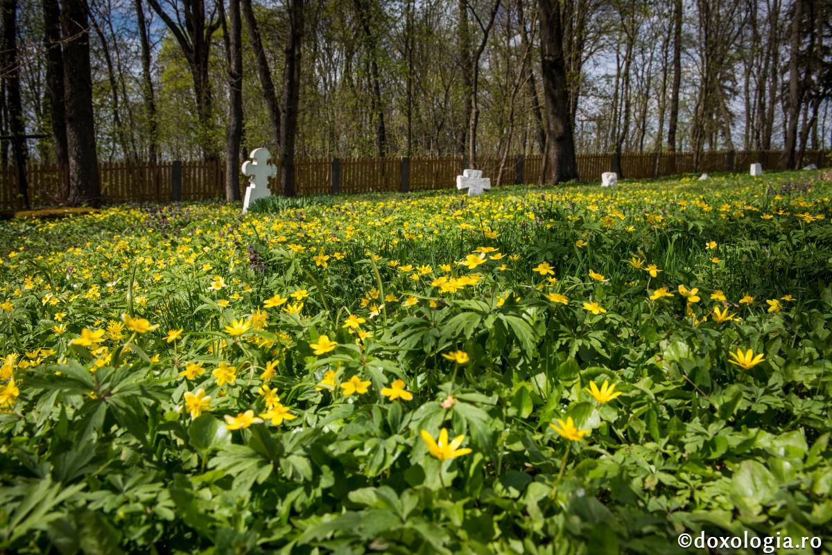 Să începem a privi cu adevărat în jurul nostru