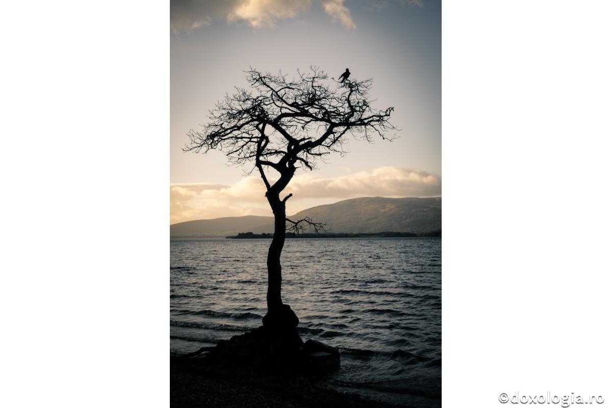 Vătămările pricinuite de păcate