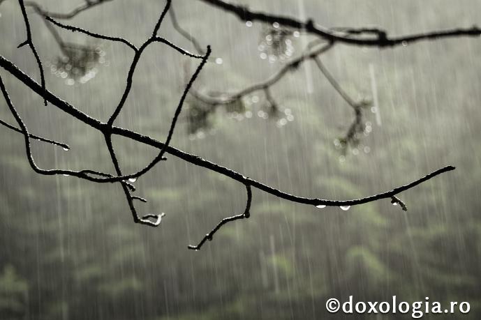 Mohorâţi ca vremea