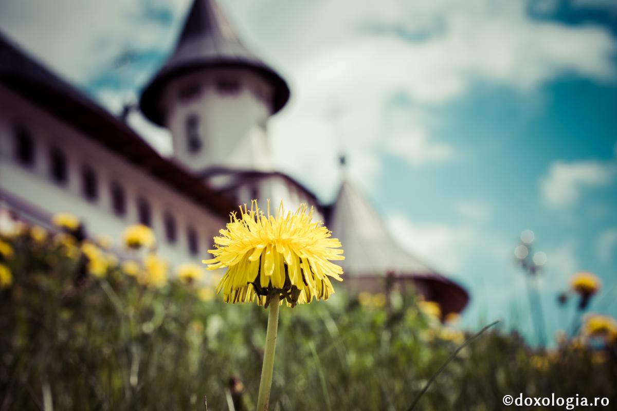 „Raiul este dragostea lui Dumnezeu”