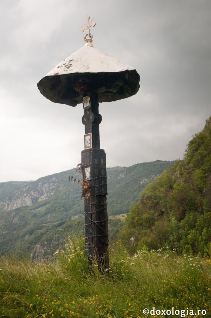 Viața grea e mântuitoare