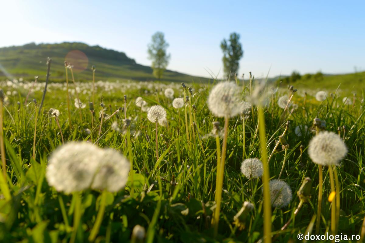 Viața omului este înconjurată de primejdii