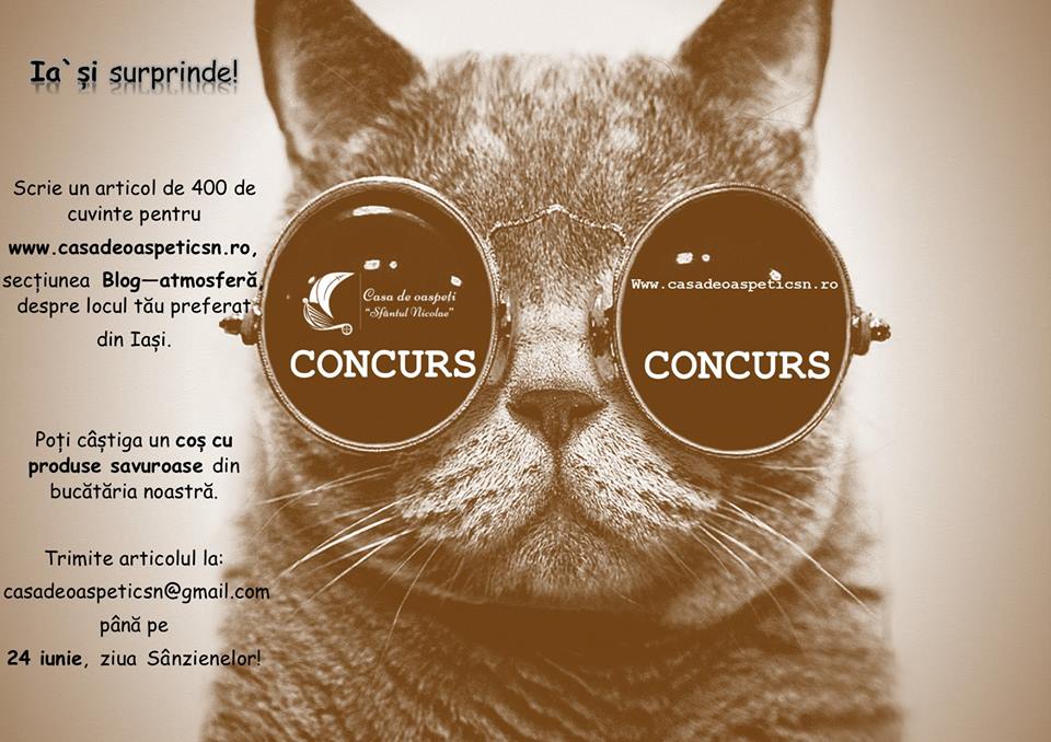 Lansare de site şi concurs, la Casa de oaspeţi „Sfântul Nicolae“