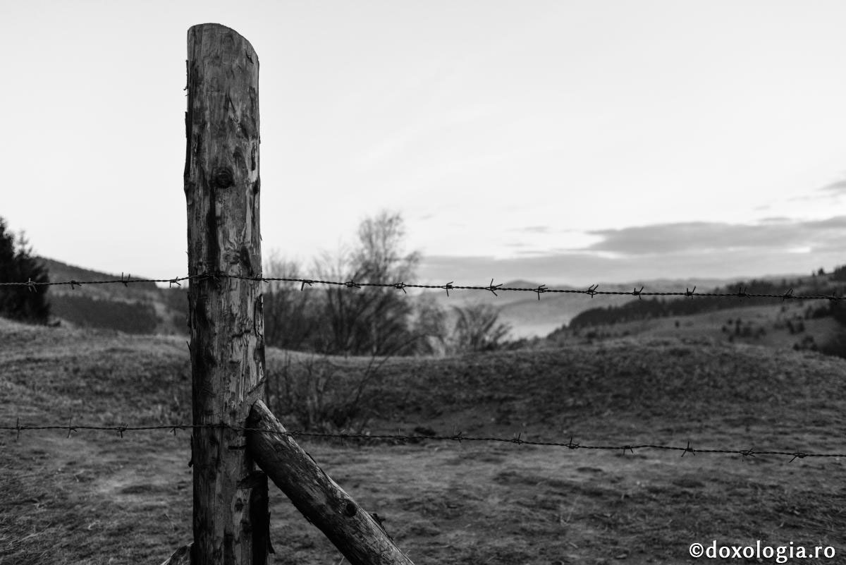 „Sfinții închisorilor”