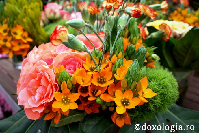 Plantele ne întorc iubirea cu iubire