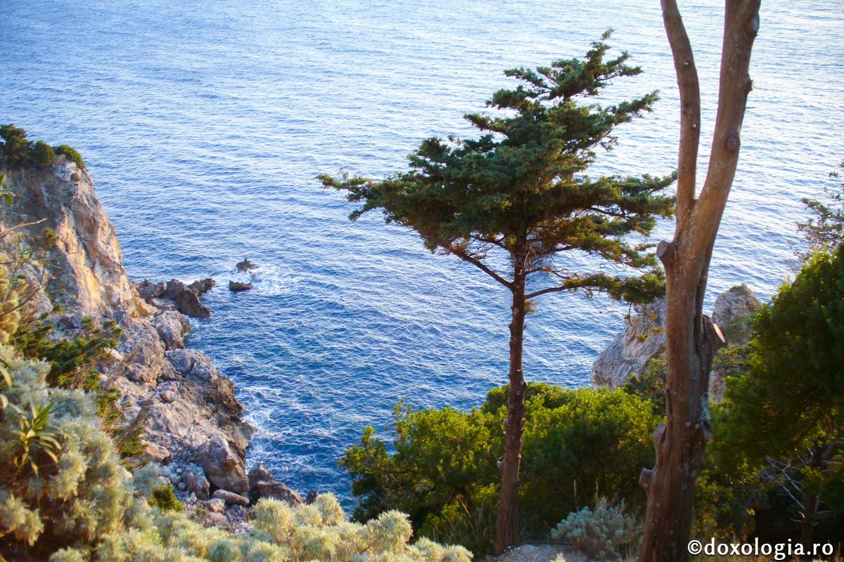 În lume este multă frumusețe și bunătate, nu doar rău