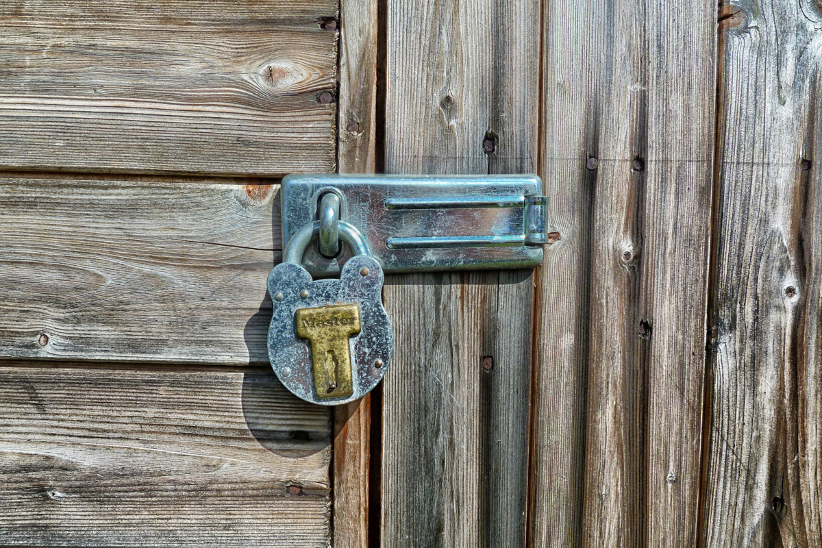 Patima îndrăznelii