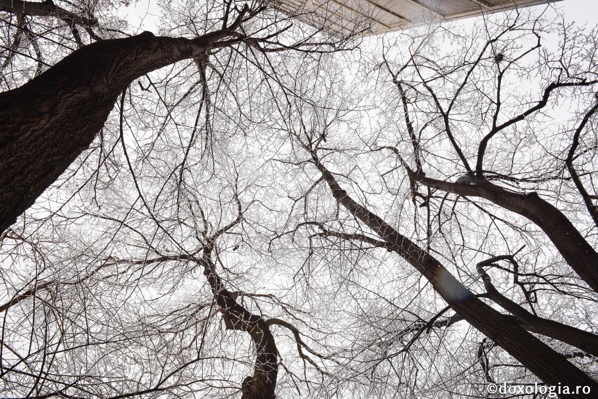 Lumea şi-a pierdut orientarea