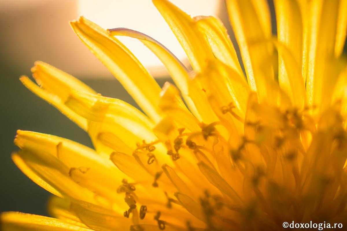 Cum putem recâștiga pacea?