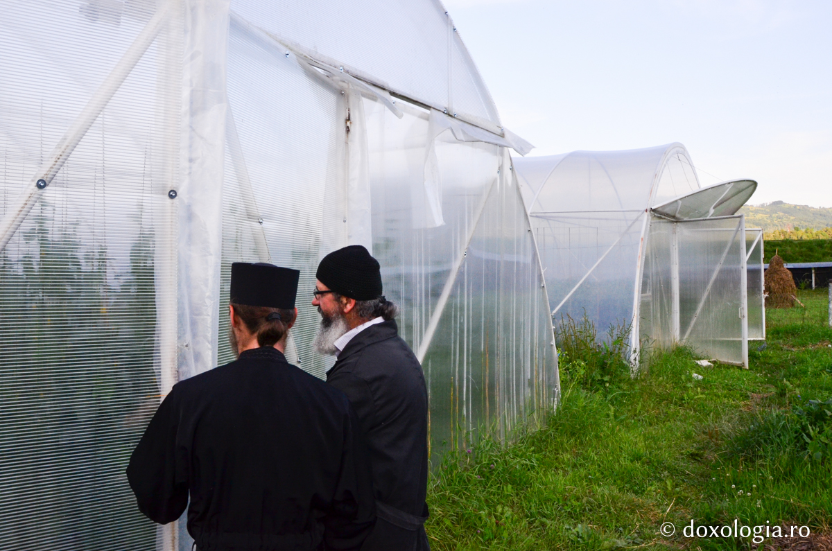 Activitatea în solariile Mănăstirii Pângărați