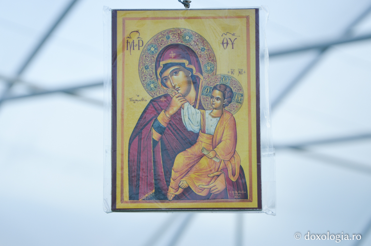 Activitatea în solariile Mănăstirii Pângărați