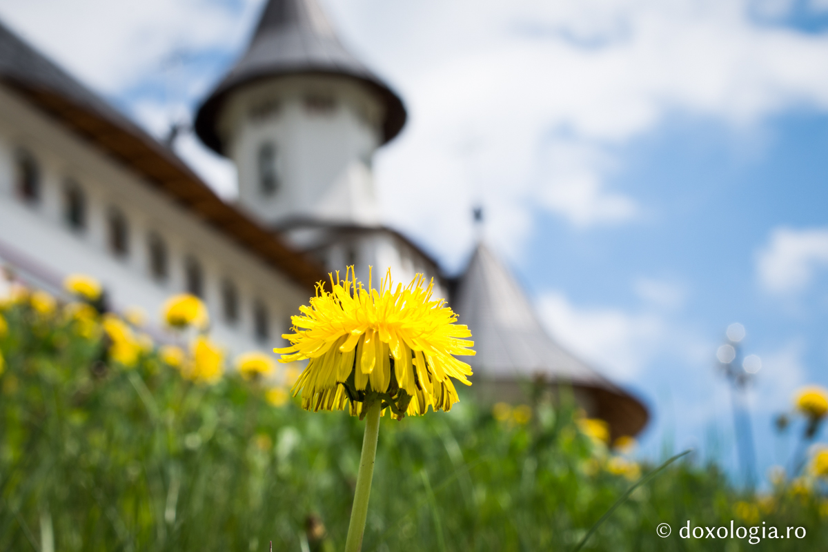 Mănăstirea Pângărați