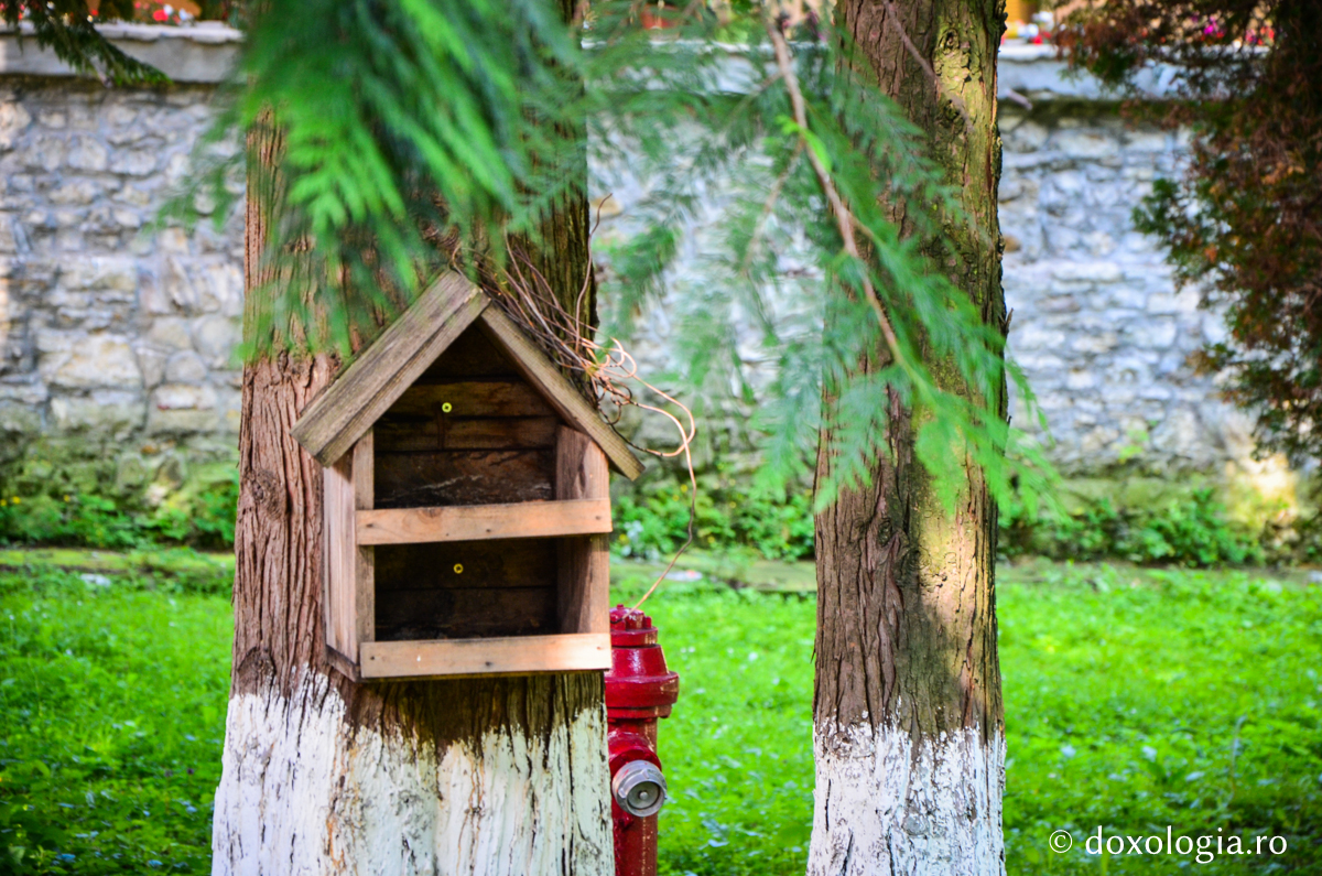 Mănăstirea Pângărați