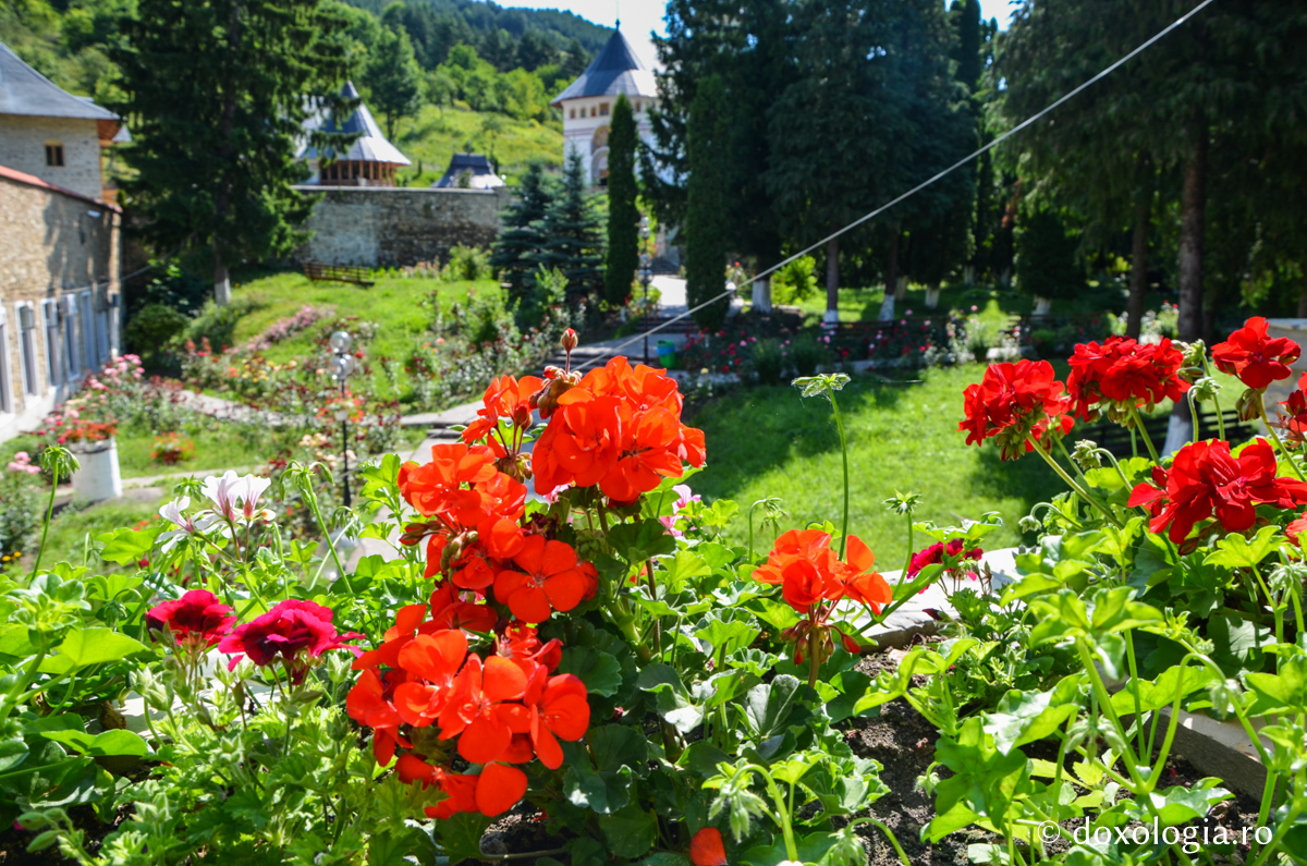 „Harul lui Dumnezeu lucrează când suntem smeriți cu adevărat”