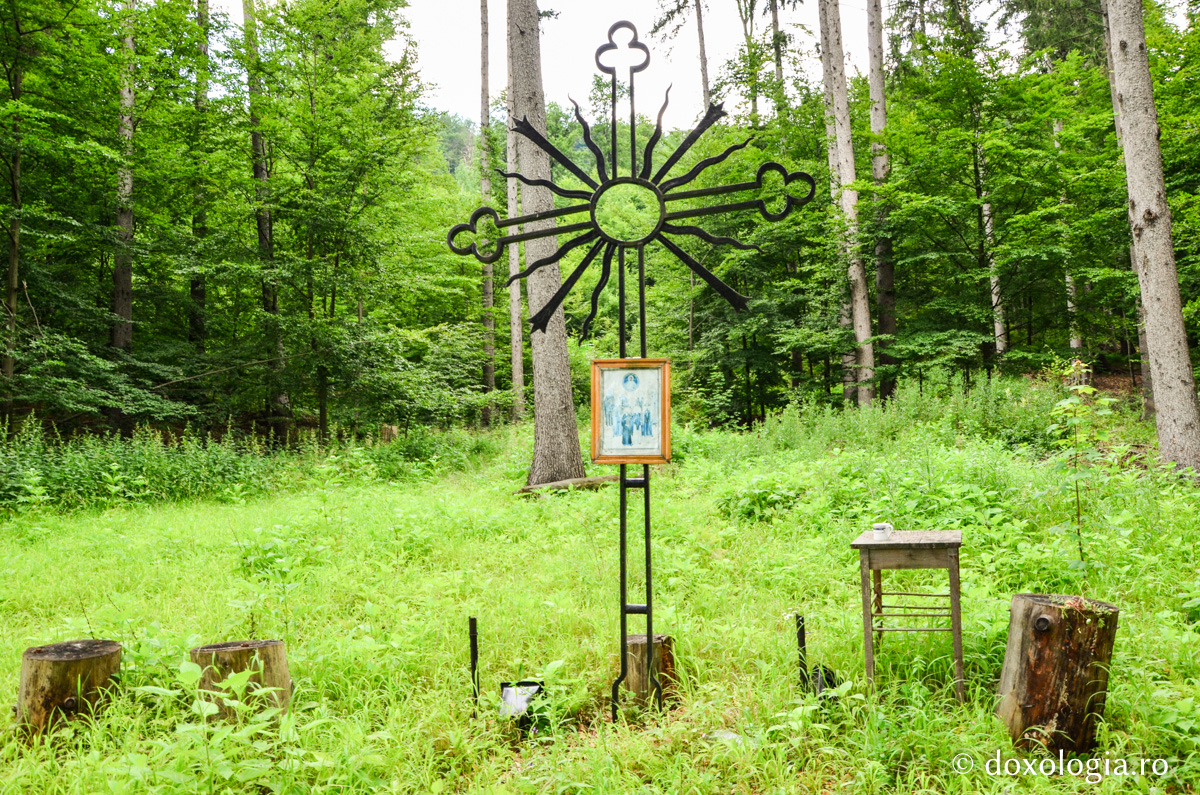 „Poiana Sihaștrilor” sau „Poiana lui Simeon”, aflată la trei kilometri de Mănăstirea Pângărați / Foto: Maria Burlă „Poiana Sihaștrilor” sau „Poiana lui Simeon”