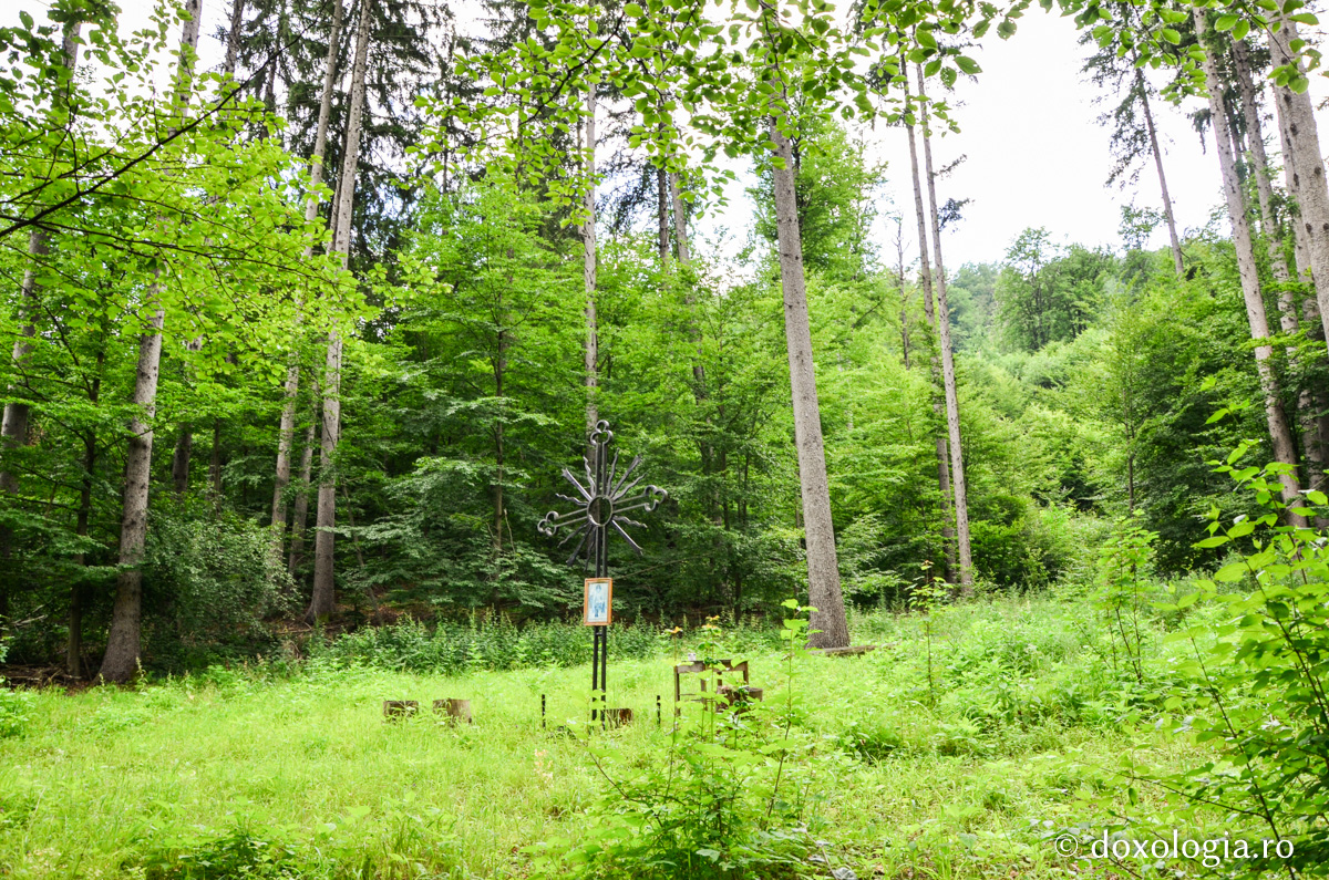 „Poiana Sihaștrilor” sau „Poiana lui Simeon”, aflată la trei kilometri de Mănăstirea Pângărați / Foto: Maria Burlă „Poiana Sihaștrilor” sau „Poiana lui Simeon”