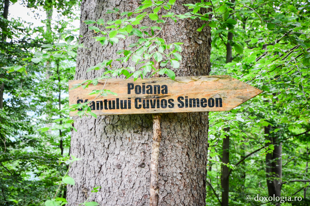 indicator cu Poiana Sfântului Cuvios Simeon