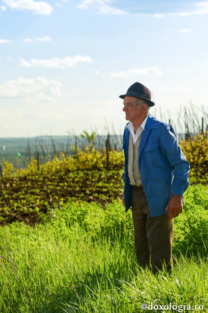 Acum s-au înmulţit cuvintele şi cărţile şi s-au împuţinat faptele