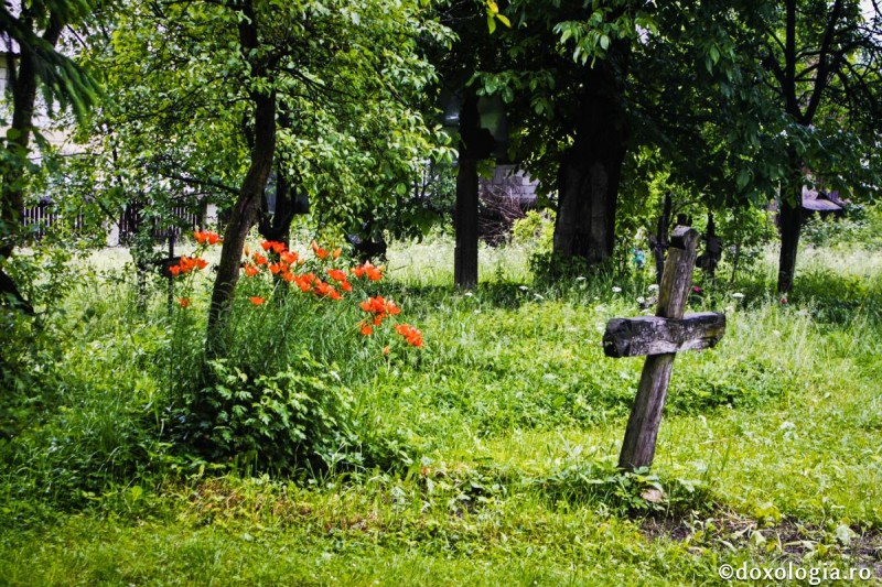 „Sunt mândră că soțul meu a refuzat să-L nege pe Hristos!”