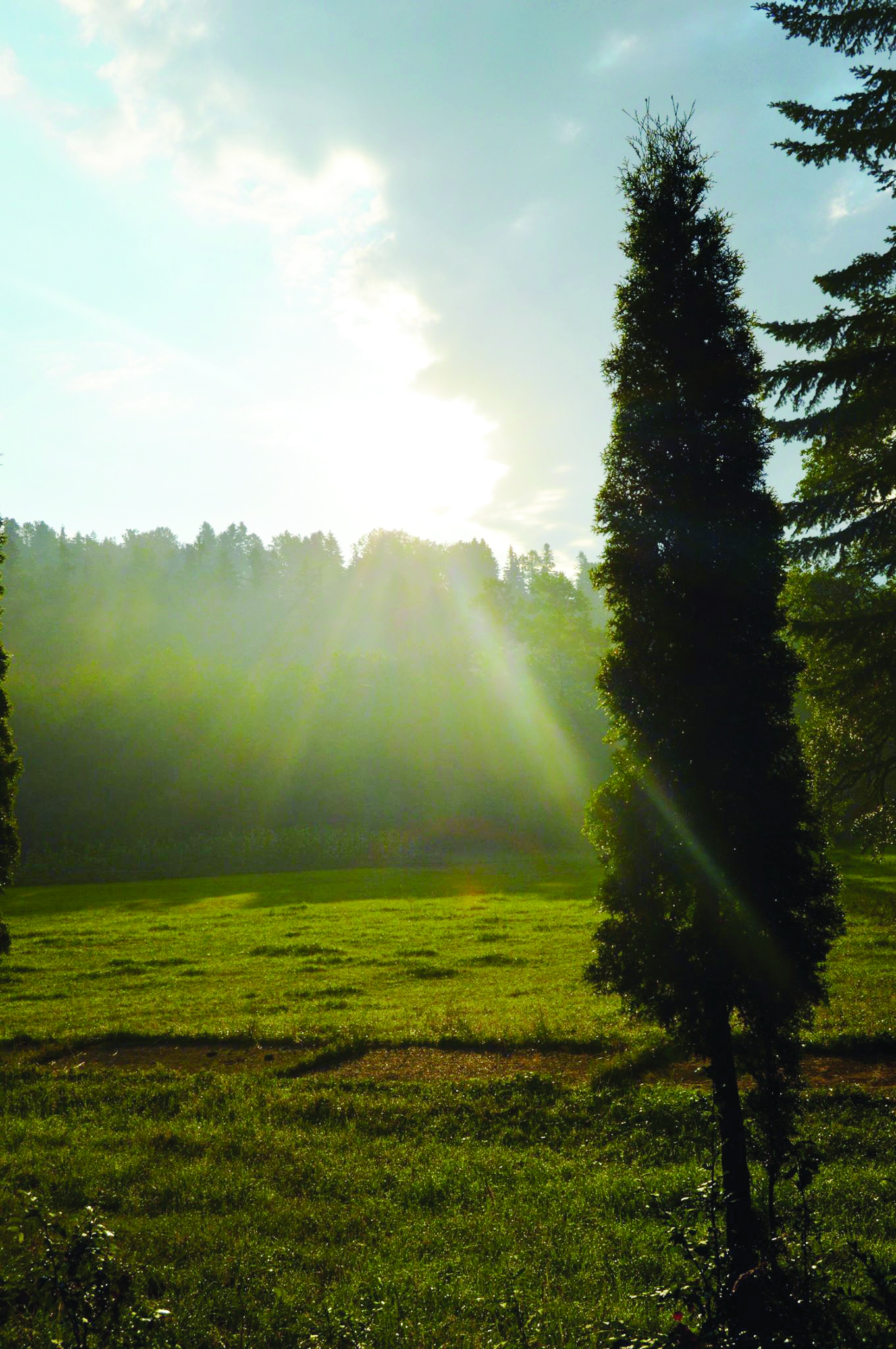 Prenemţişor, preludiul unei mari întâlniri