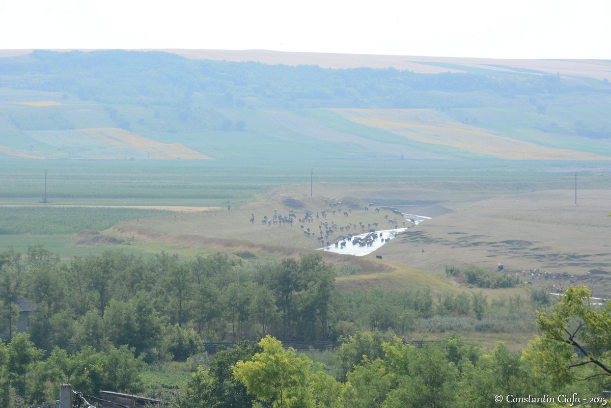 Lucrări de amploare la biserica din Andrieşeni Lucrări de amploare la biserica din Andrieşeni