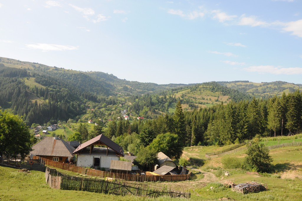 Tabără sub streaşina ctitoriei barnovschiene de la Buhalniţa Tabără sub streaşina ctitoriei barnovschiene de la Buhalniţa