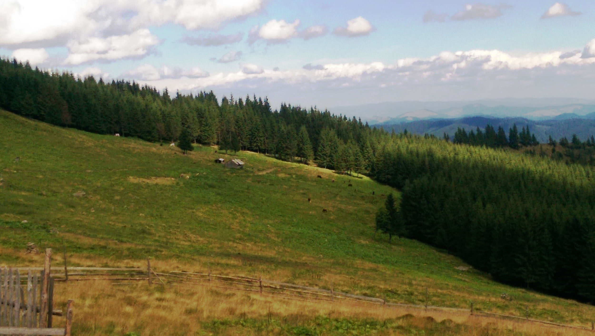 Lecții de viață în vârf de munte