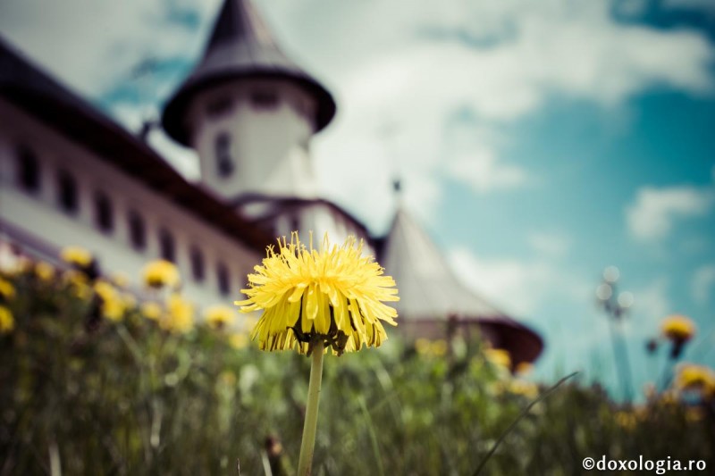 Episcop sirian înlăcrimat: Cât trebuie să mai pătimim?