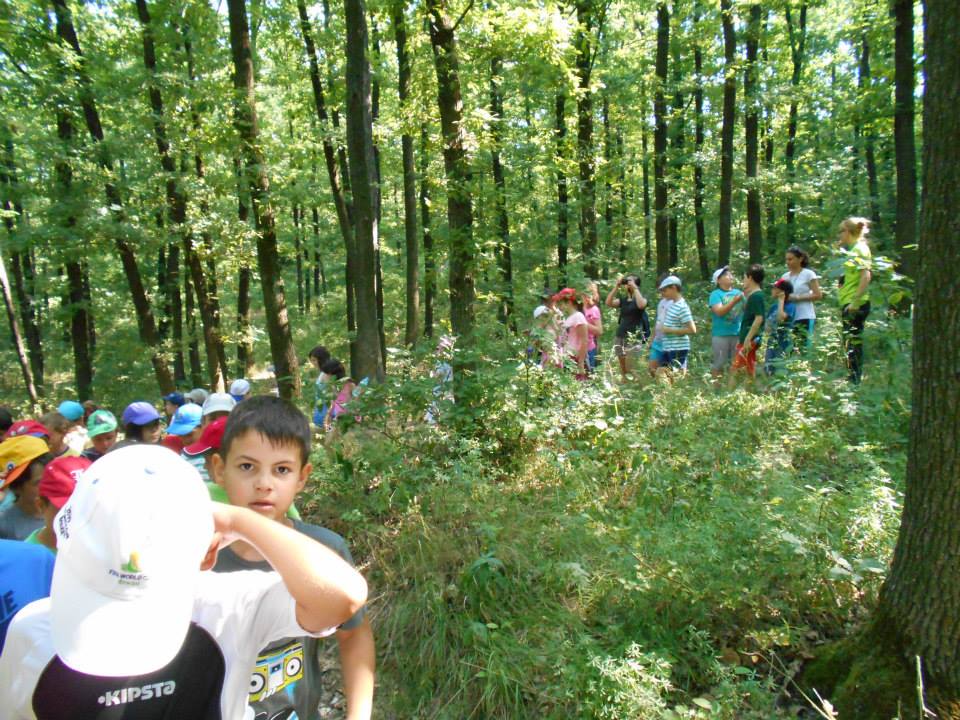 Şcoala de vară, la „Varlaam Mitropolitul“