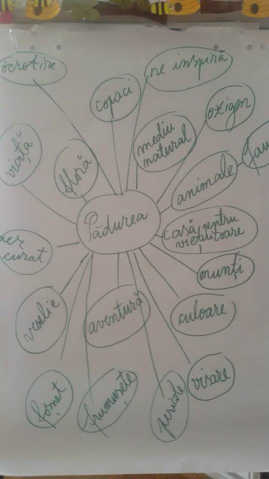 Şcoala de vară, la „Varlaam Mitropolitul“