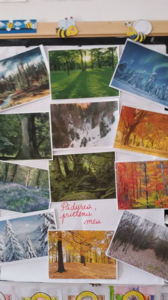 Şcoala de vară, la „Varlaam Mitropolitul“