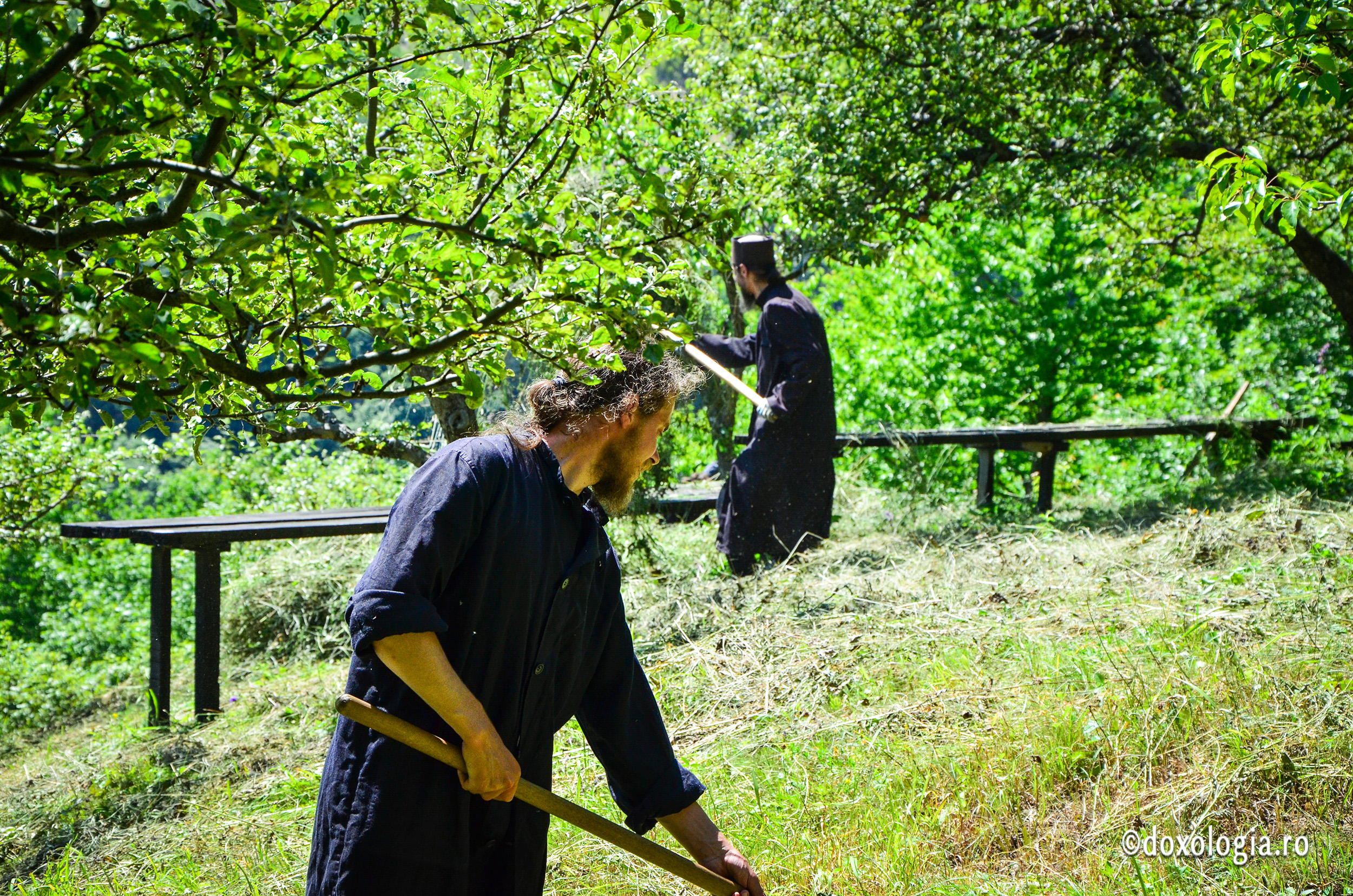 Cea mai grea ascultare într-o mănăstire