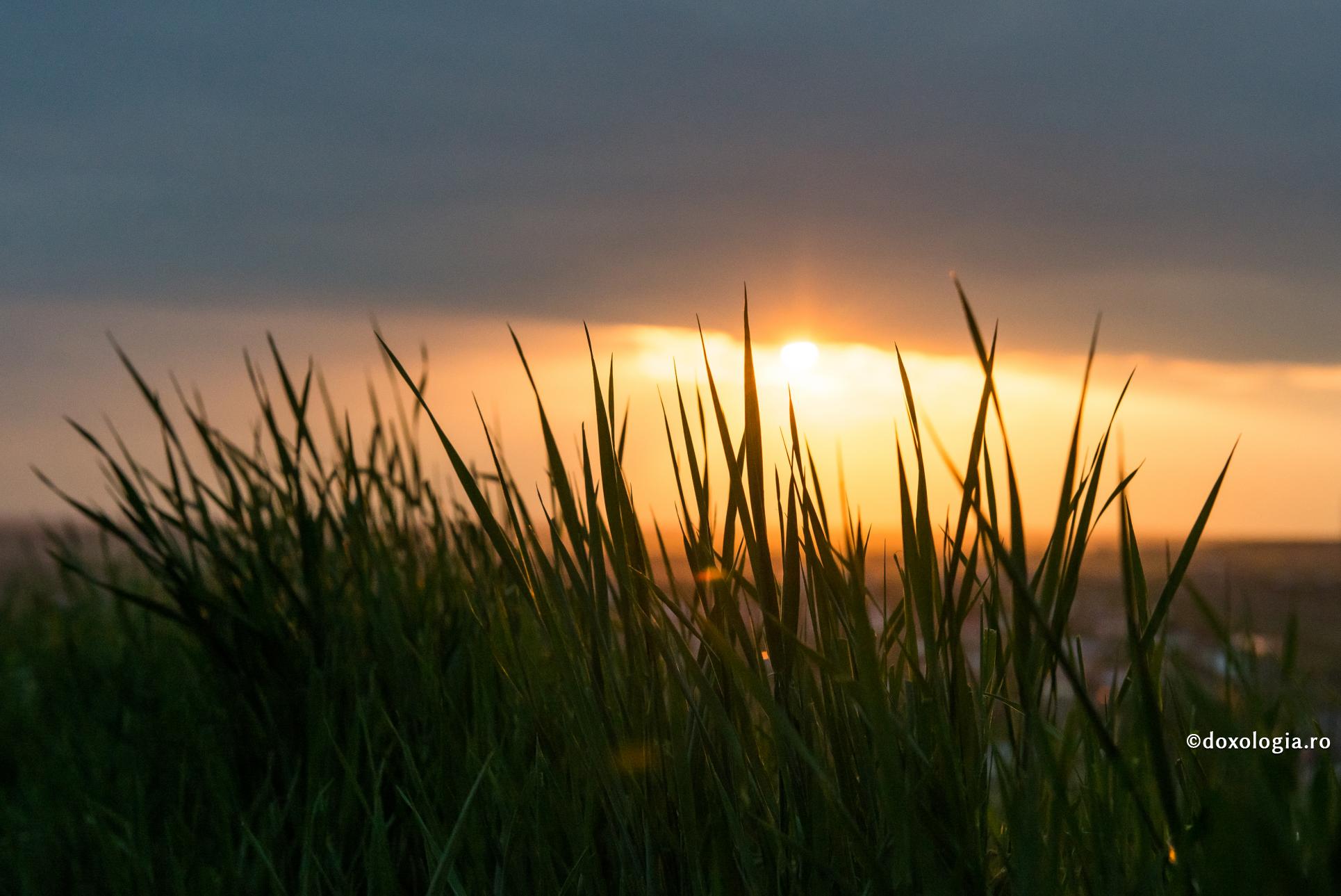 Când iubim, dăruim totul pentru dragostea noastră