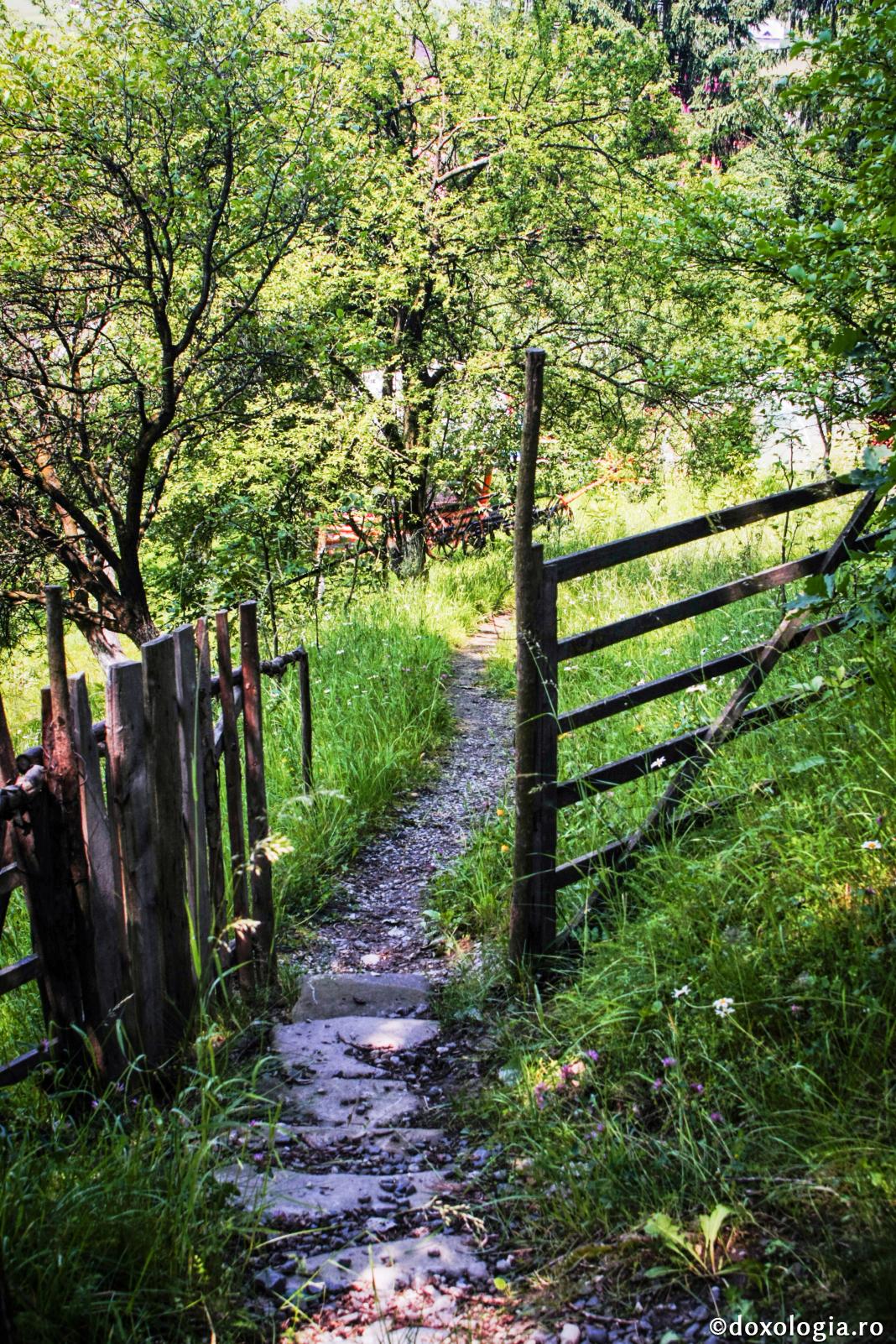 Nimeni nu ştie ce împrejurări îl aşteaptă în viitor