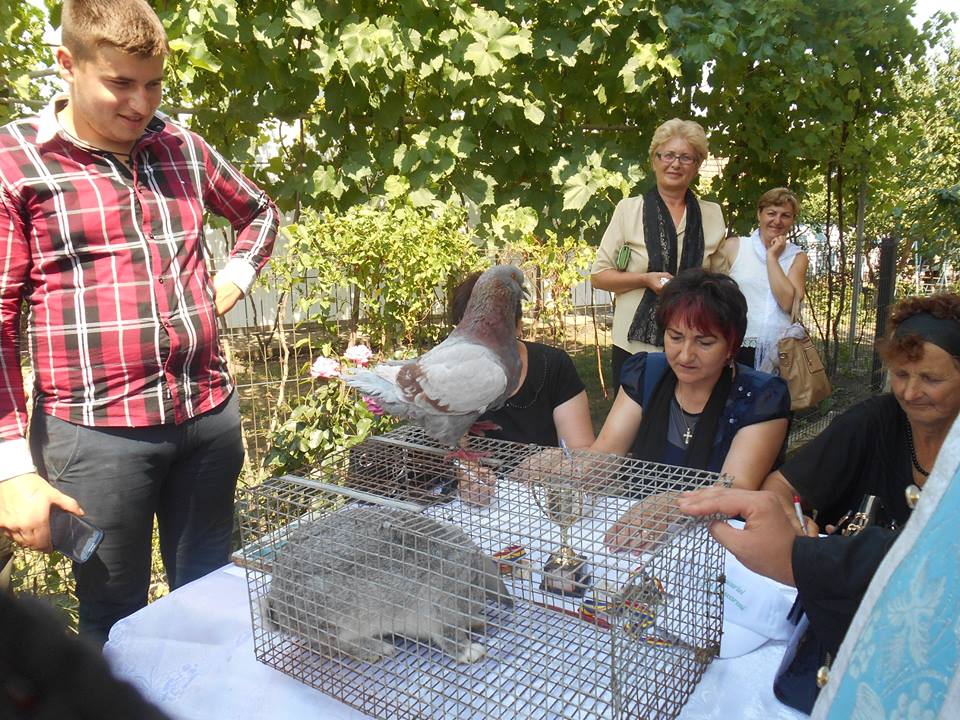 Proiectul „Lumina Bucuriei”, în Parohia Chișcăreni