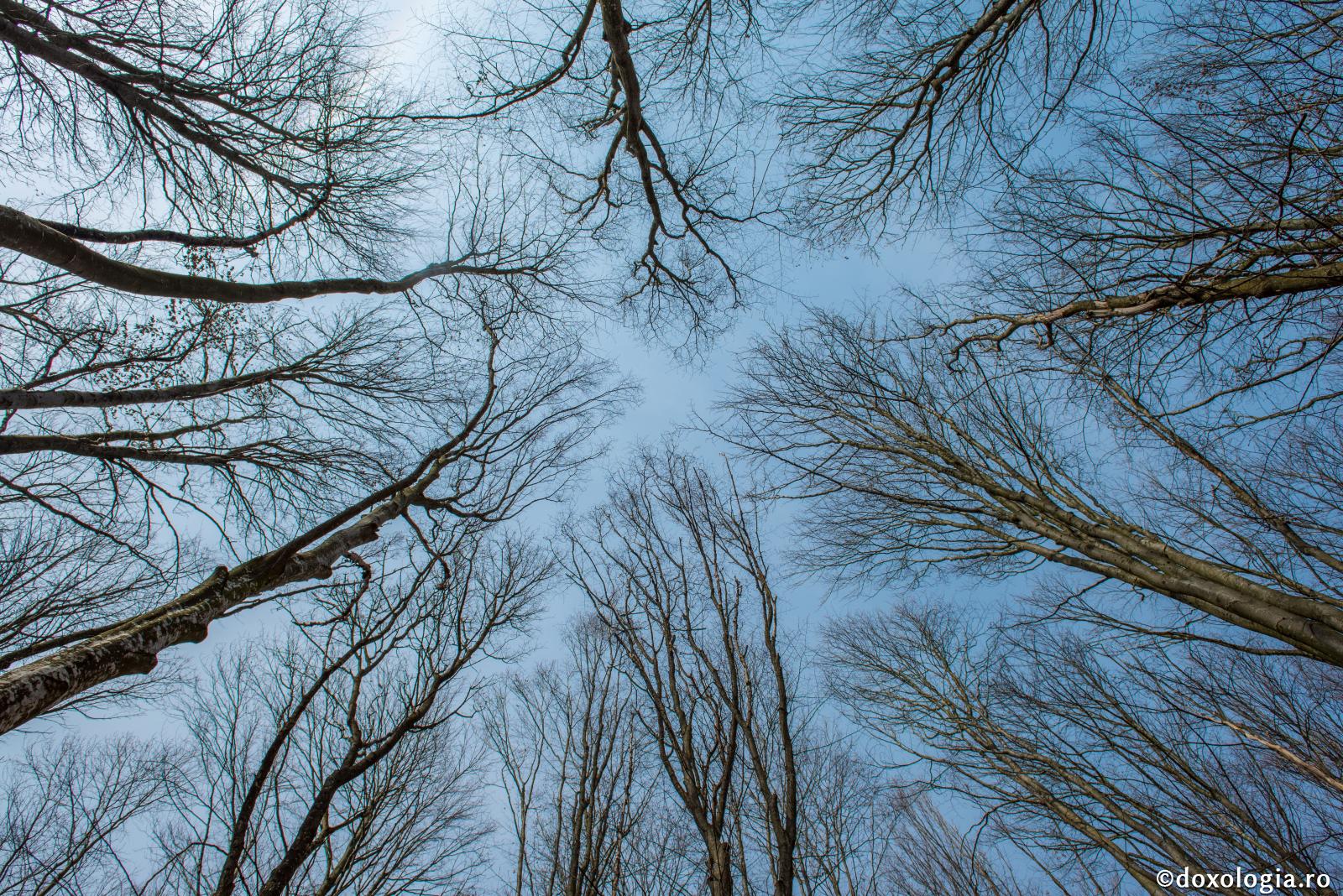 Dumnezeu, Lucrătorul îndemânatic