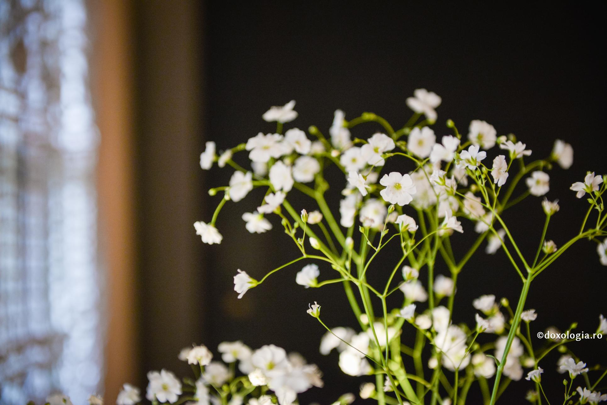 Tragedia unei morți violente poate trezi conștiințe