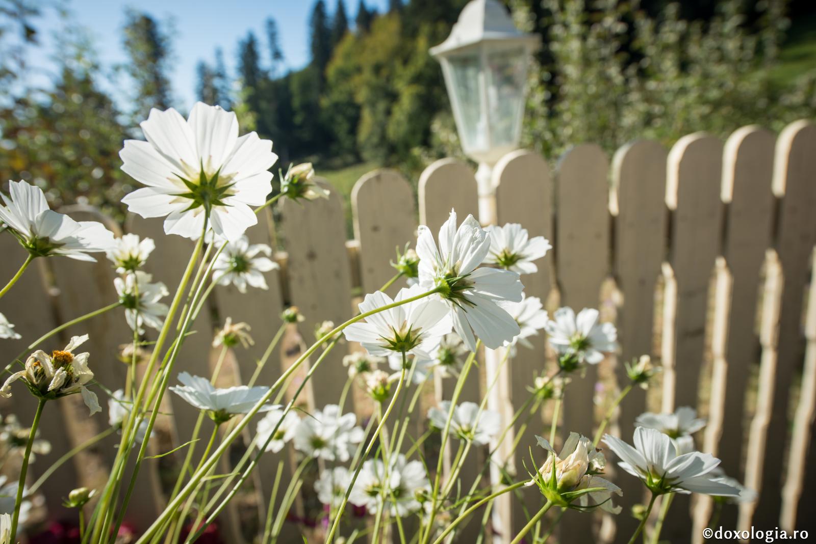 Pune gard între suflet și gândurile viclene!